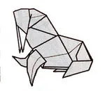 Walrus