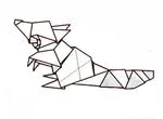 Raccoon