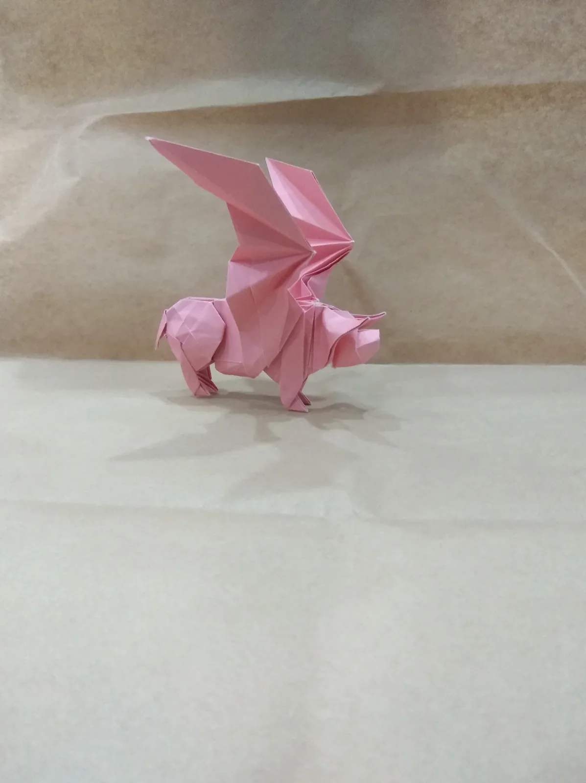 Flying pig