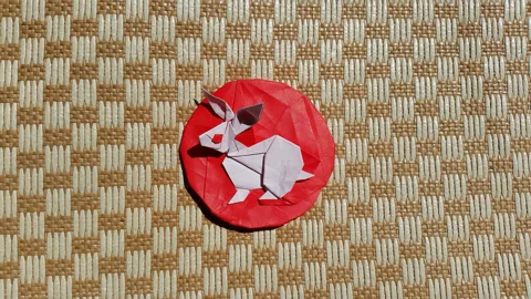 Lunatic rabbit