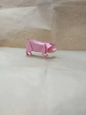 Pig