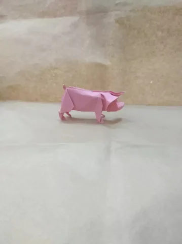 Pig
