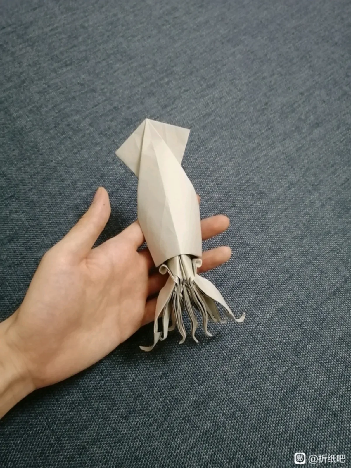 Squid