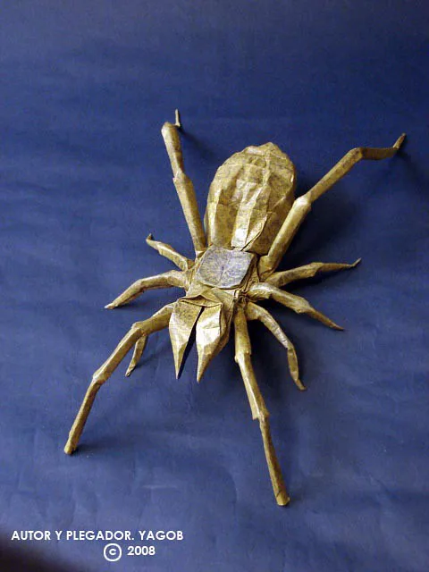 Camel Spider