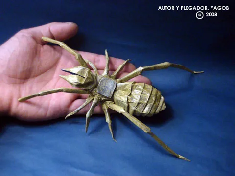 Camel Spider