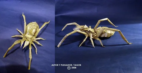 Camel Spider