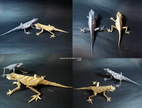 Lizard