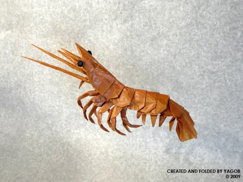 Shrimp