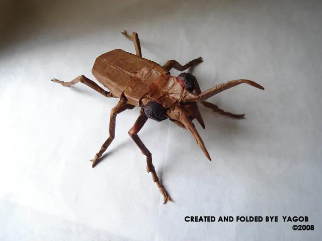 Tiger Beetle