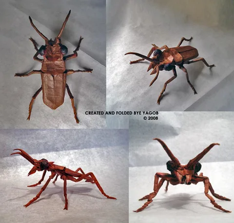 Tiger Beetle