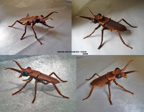 Tiger Beetle