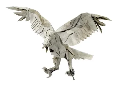 Harpy eagle