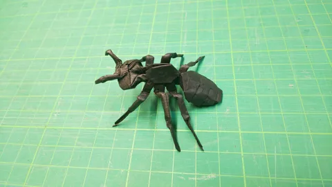 Ant