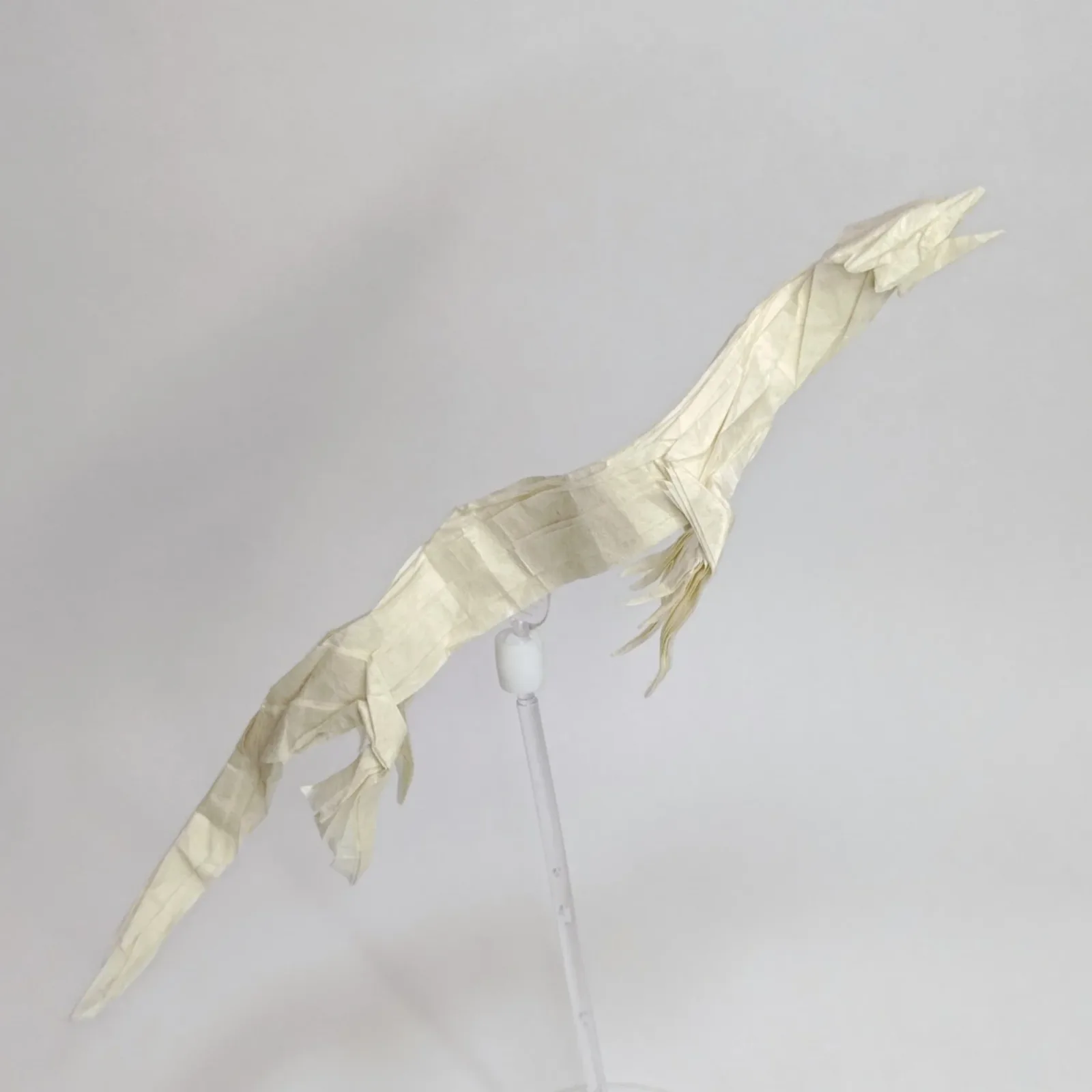 Eastern Dragon