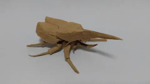Hercules beetle 1.1