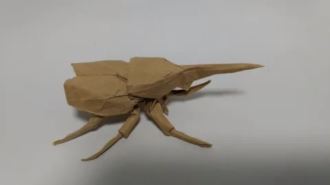 Hercules beetle 1.1