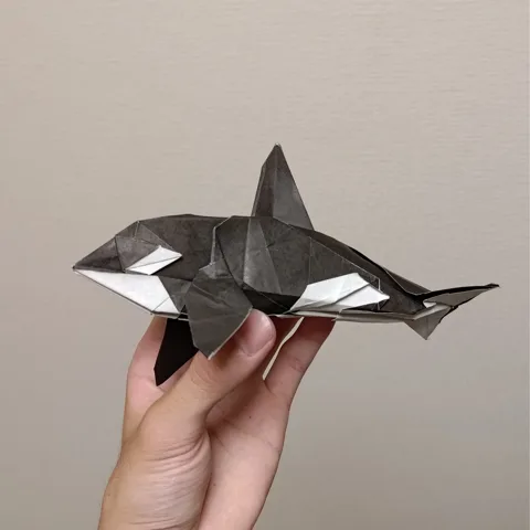 Killer Whale