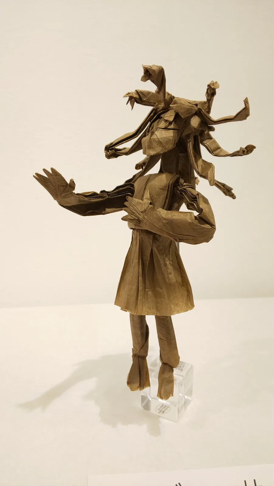 Medusa