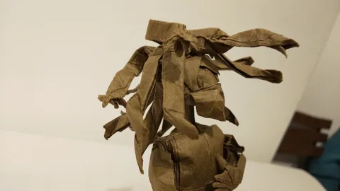 Medusa