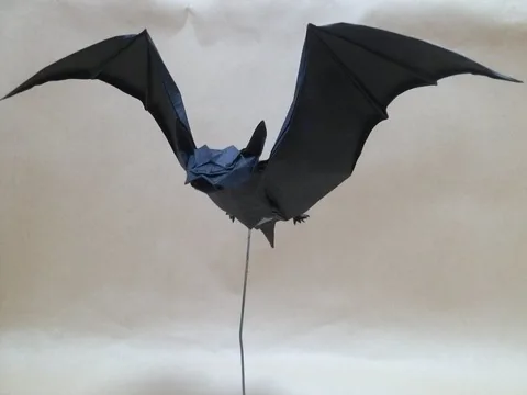 Bat