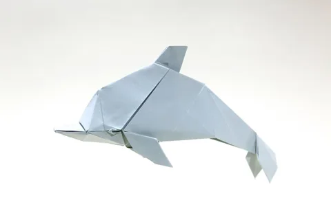 Dolphin