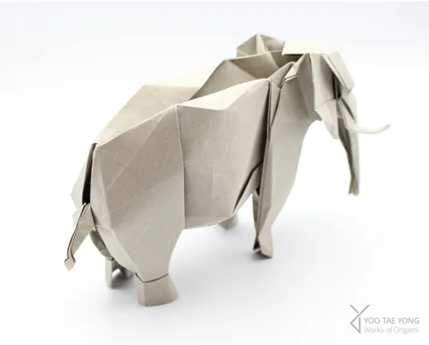 Elephant — паттерн