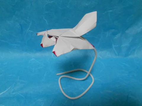 Flying squirrel