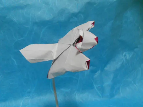 Flying squirrel