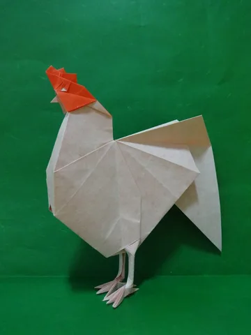 Rooster