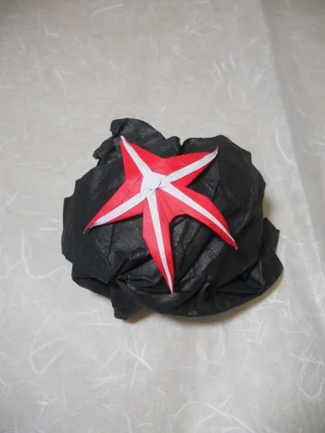 Starfish