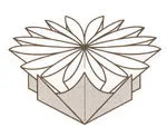 Chrysanthemum