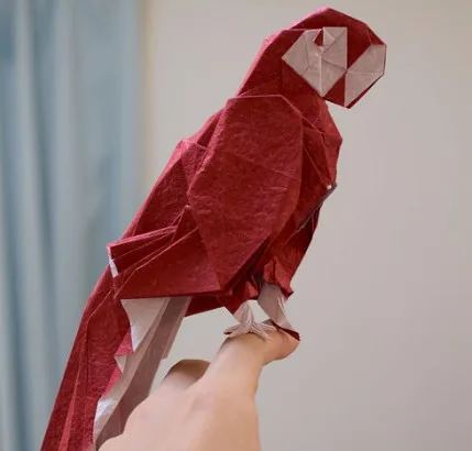 Macaw (PD) parrot