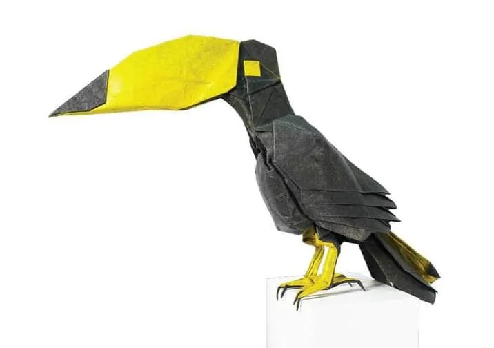 Toucan