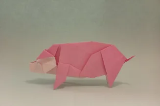 Pig