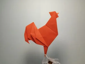 Rooster