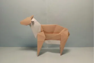 Sheep