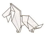 Collie