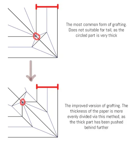 Point thinning