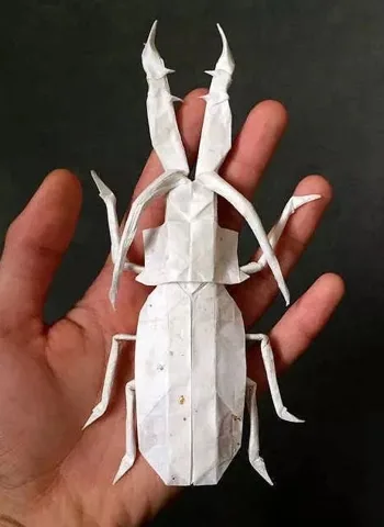 Another beetle (PD)