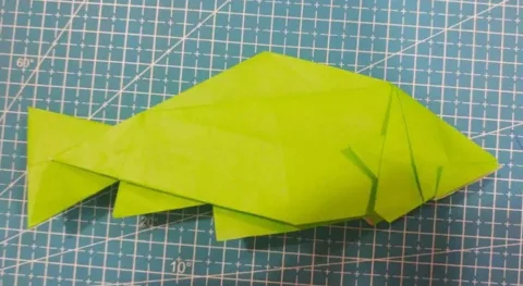 Fish (PD)