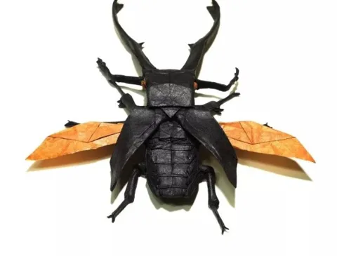 Flying Stag Beetle (PD)