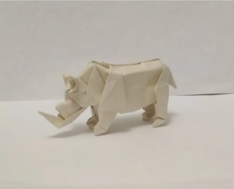 Foolish Rhino