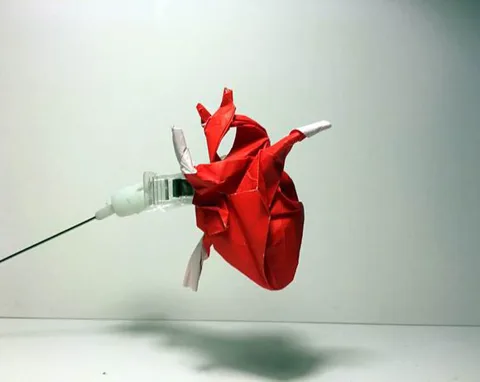 Human heart