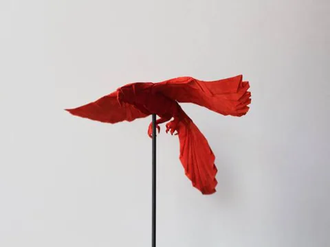 Macaw - Bored little red