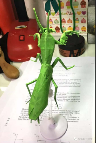 Praying mantis (PD)
