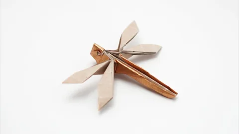 Dragonfly