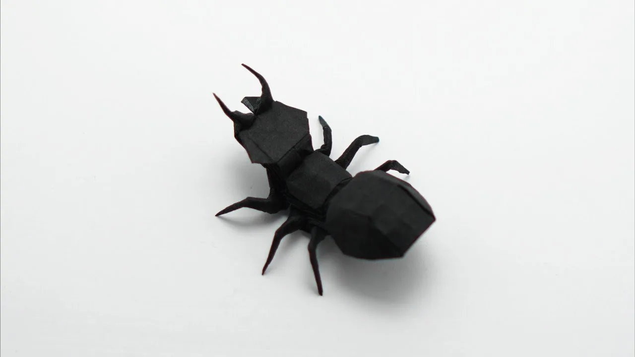 Ant