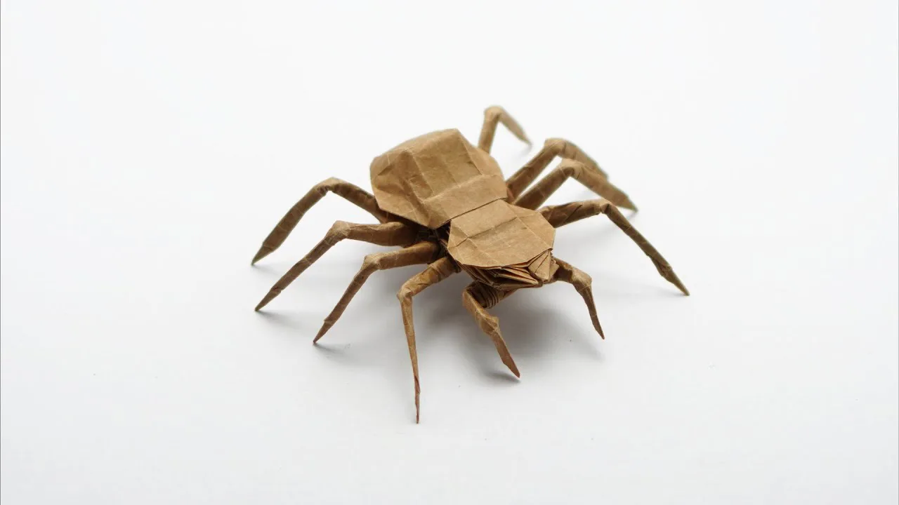 Spider