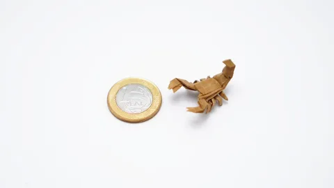 SCORPION - simplified version