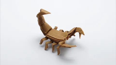 Scorpion 🦂